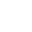 Icono 1